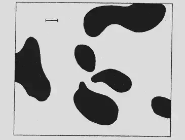  Un patrón de Turing generado por un "MorphoGen", calculado a mano porTuring en su artículo de 1952 sobre morfogénesis