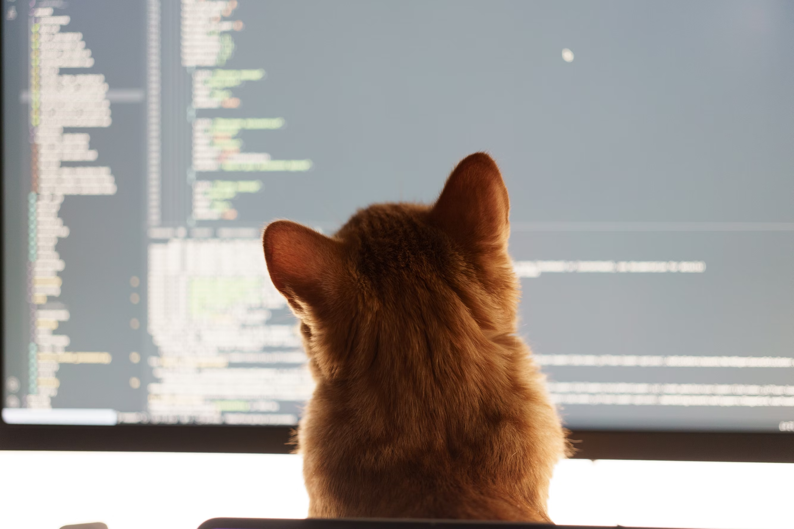 Gato programador corrigiendo el codigo creado por un vibe coder. (Foto de Volodymyr Dobrovolskyy, tomado de Unsplash)