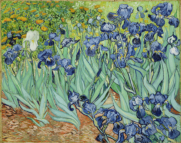 Van Gogh&rsquo;s Irises, painted in 1889, when he voluntarily committed himself to the mental hospital at Saint-Rémy