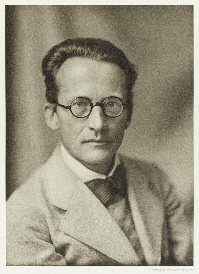 Erwin Schrödinger, don&rsquo;t show this picture to your cat