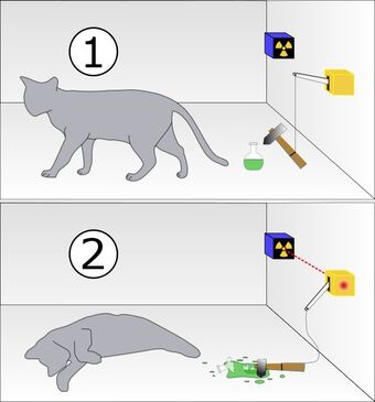 The thought experiment proposed by Schrödinger