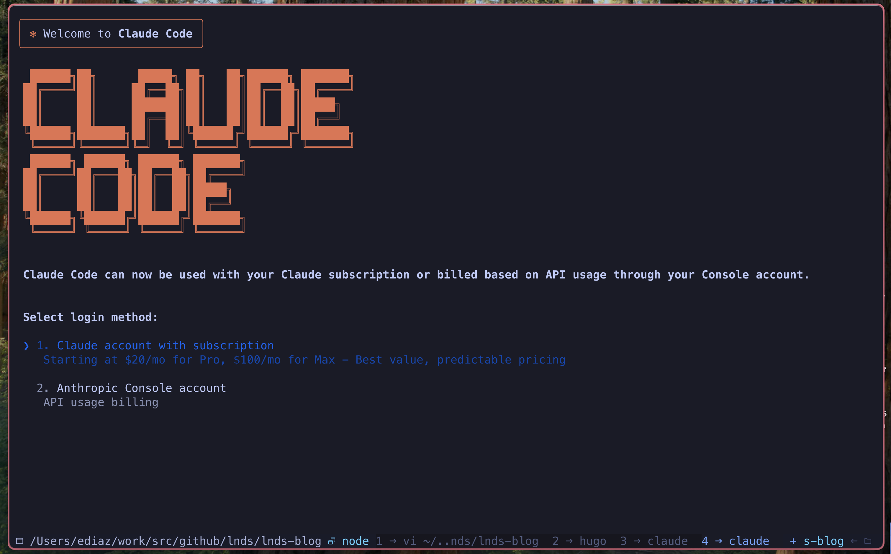 Claude in my terminal